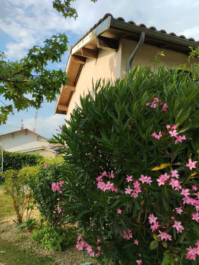 Bed and Breakfast L'Atelier Saint-Sulpice Entre Bordeaux Et St Emilion Экстерьер фото